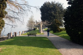 Enlarge photo 6