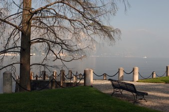 Enlarge photo 7