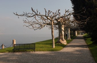 Enlarge photo 8