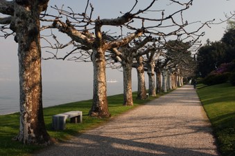Enlarge photo 11