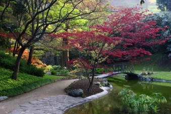 Enlarge photo 13