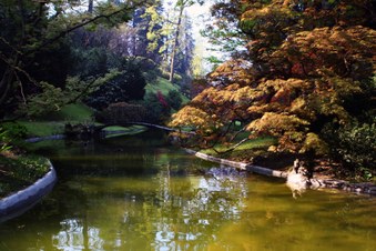 Enlarge photo 16