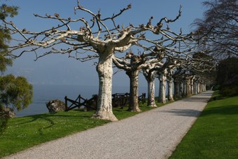 Enlarge photo 20