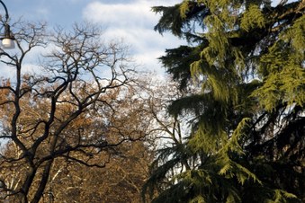 Enlarge photo 11