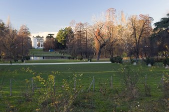 Enlarge photo 12