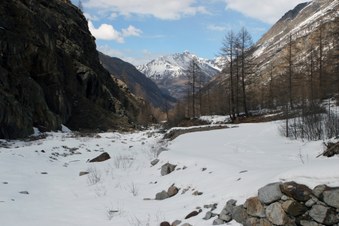 Enlarge photo 4