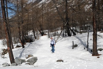 Enlarge photo 5