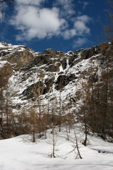 Enlarge photo 6