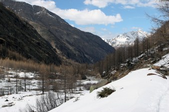 Enlarge photo 8
