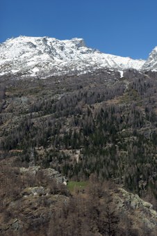 Enlarge photo 5