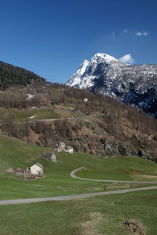 Enlarge photo 6