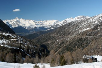 Enlarge photo 13