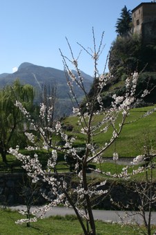 Enlarge photo 4