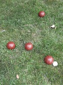 Enlarge photo 4