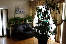 Enlarge photo 3