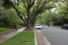 Enlarge photo 29