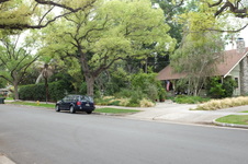 Enlarge photo 33