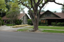 Enlarge photo 34