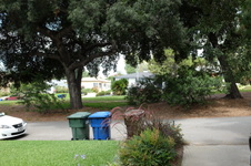 Enlarge photo 40