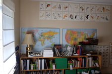 Enlarge photo 34