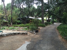 Enlarge photo 2