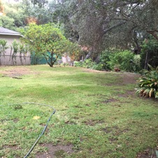 Enlarge photo 35