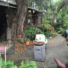 Enlarge photo 57