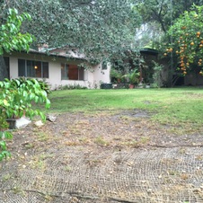 Enlarge photo 63