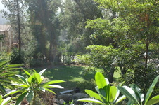 Enlarge photo 17