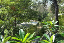 Enlarge photo 18