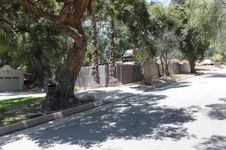 Enlarge photo 77