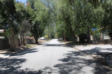 Enlarge photo 78
