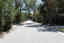 Enlarge photo 80
