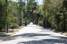 Enlarge photo 81
