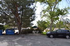Enlarge photo 43