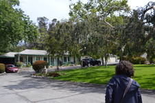 Enlarge photo 66