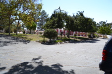 Enlarge photo 36