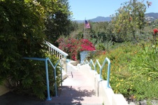 Enlarge photo 22