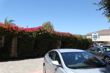 Enlarge photo 41