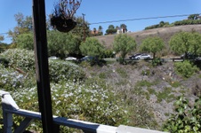 Enlarge photo 14