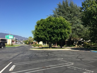 Santa Anita Inn