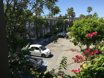 Enlarge photo 41