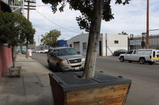 Enlarge photo 11