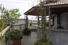Enlarge photo 71