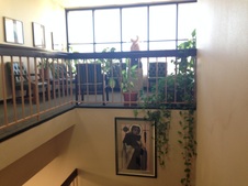Enlarge photo 43