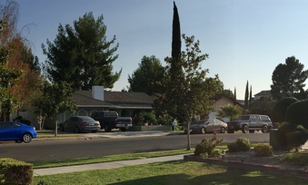 Enlarge photo 2