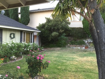 Enlarge photo 8