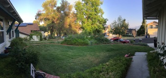 Enlarge photo 5