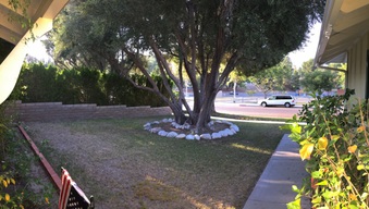 Enlarge photo 11