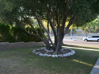 Enlarge photo 12